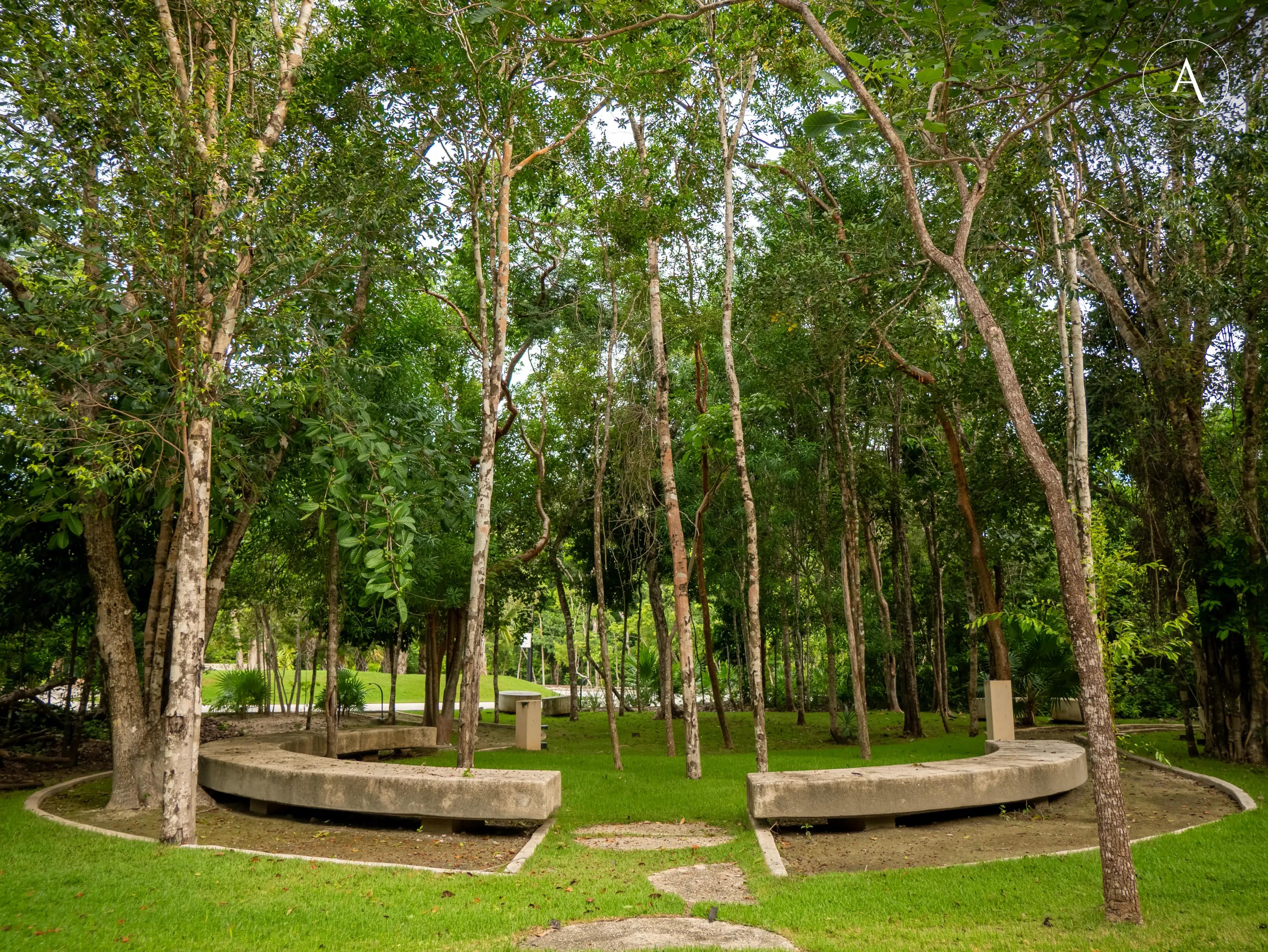 Servicios inmobiliarios en Playa del Carmen — Activo Inmobiliario