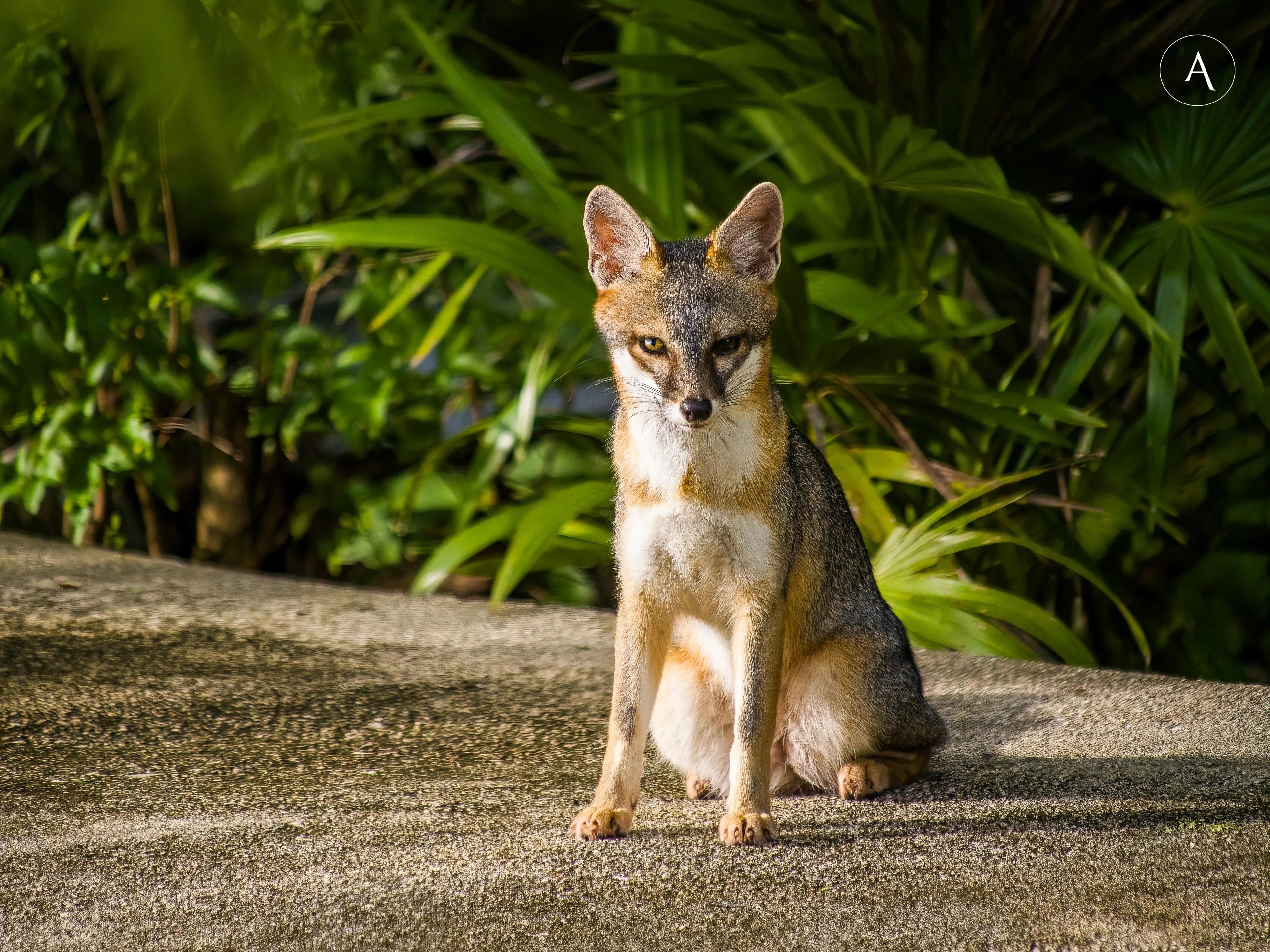 Terrenos disponibles en la Riviera Maya