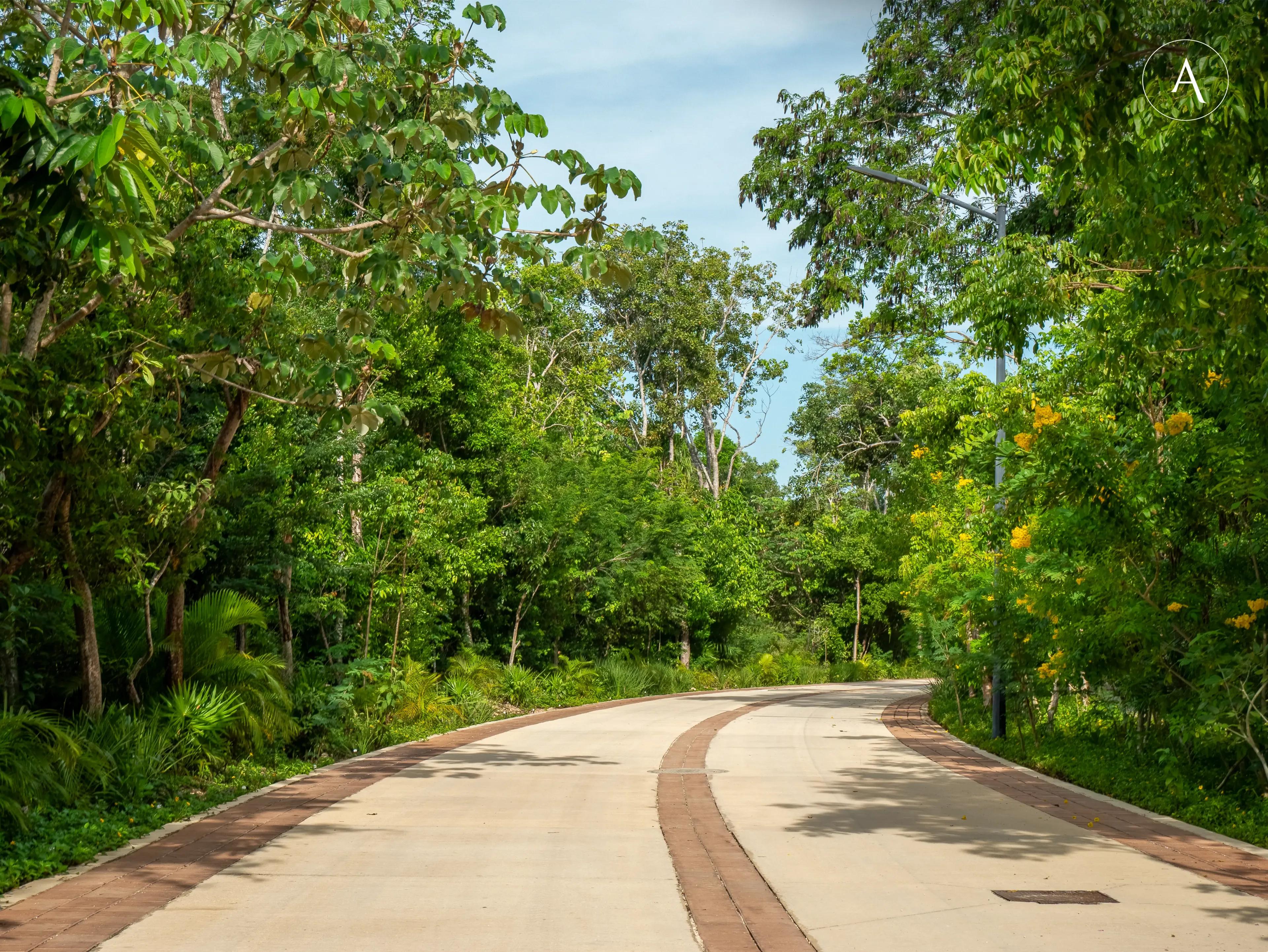 Análisis de posición dentro del masterplan de Mayakoba Country Club
