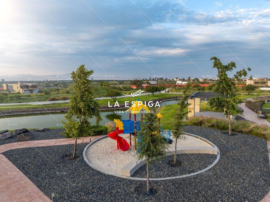 Foto de la galeria de imagenes