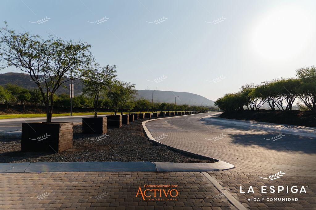 Foto de la galeria de imagenes