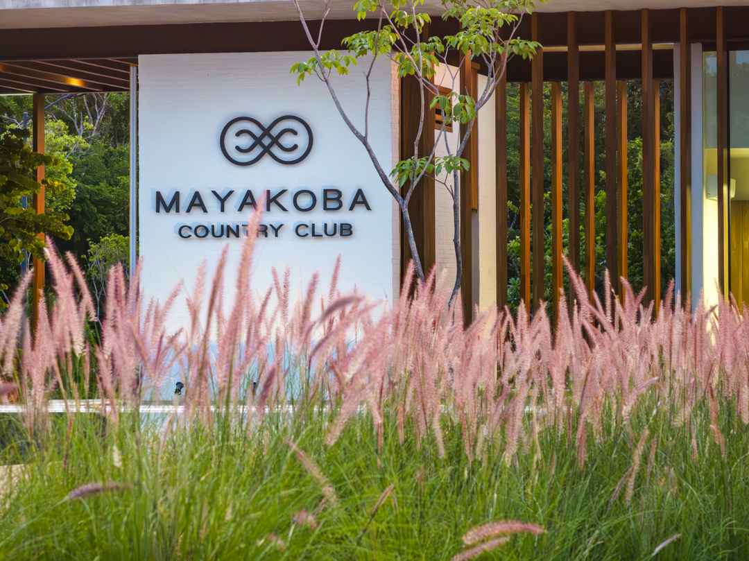 terreno en venta informacion showroom mayakoba country club carretera federal chetumal  puerto juarez km centro playa del carmen quintana roo pGFJ48S