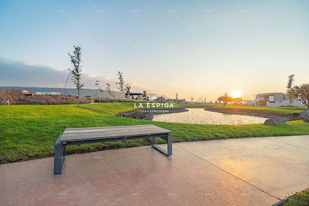 Foto de la galeria de imagenes