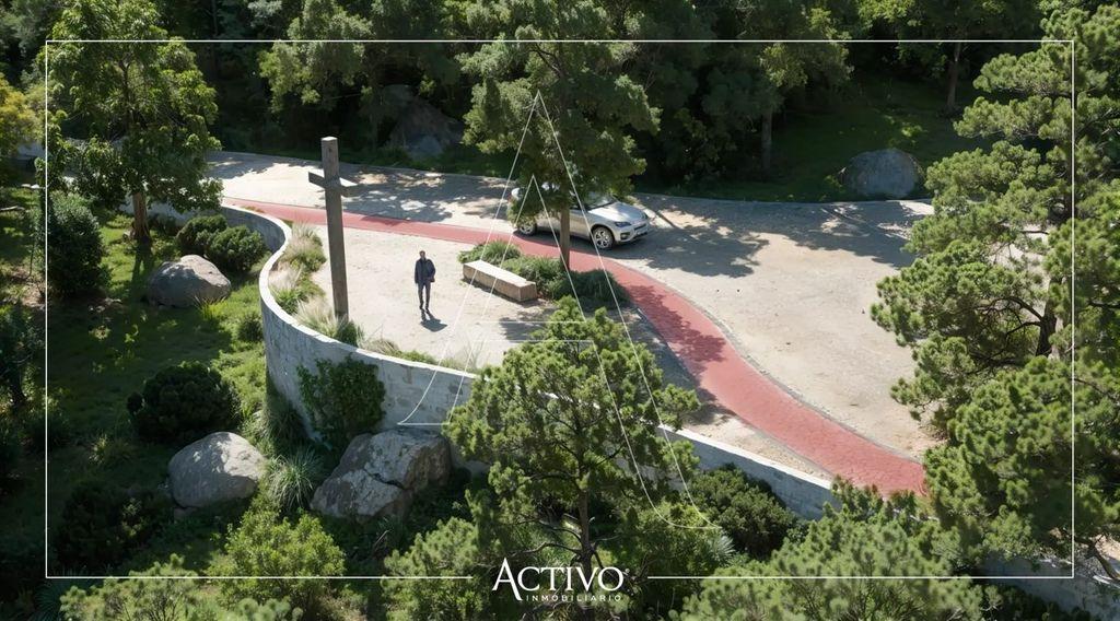 Foto de la galeria de imagenes