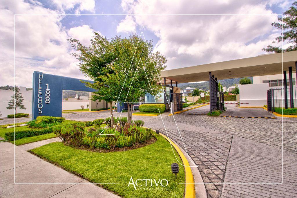 Foto de la galeria de imagenes