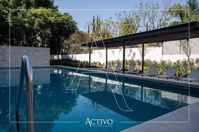 Foto de la galeria de imagenes