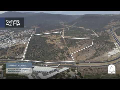 Previsualización del video