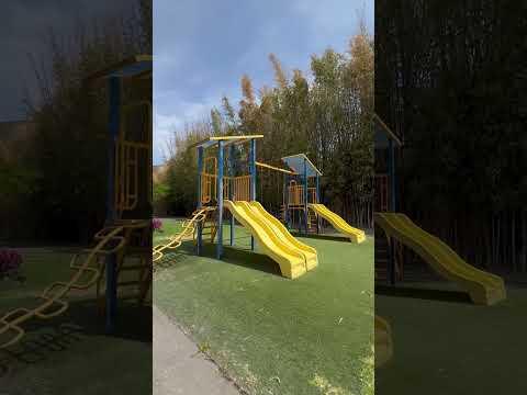 Previsualización del video