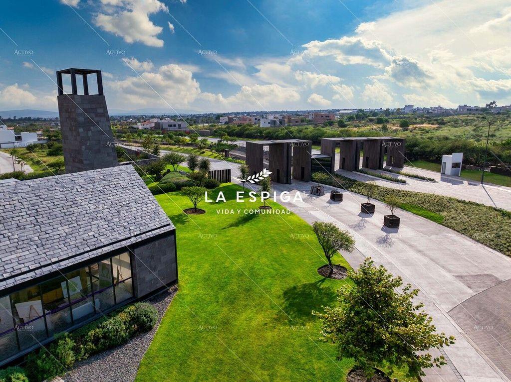 Foto de la galeria de imagenes