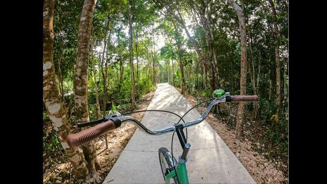 Foto de la galeria de imagenes