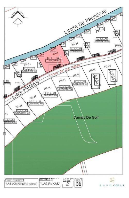 Foto de la galeria de imagenes