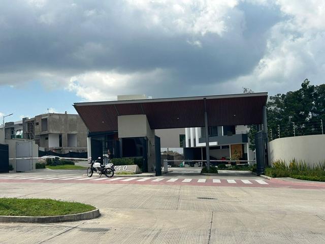 Foto de la galeria de imagenes