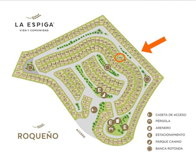 Foto de la galeria de imagenes